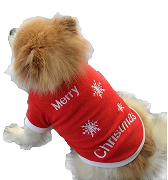 Dog Christmas Sweaters Pets At Home