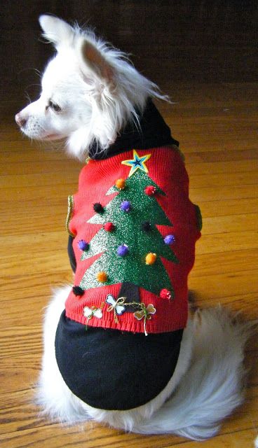 Christmas Dog Costumes