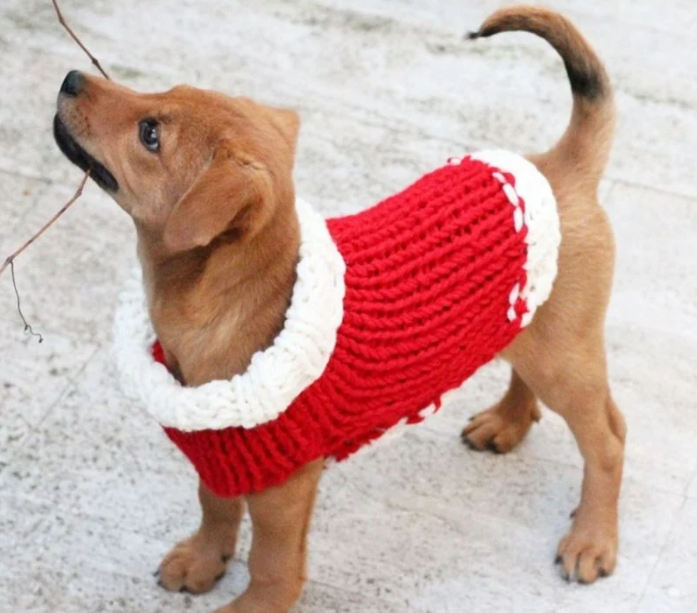 Christmas Present Dog Sweater