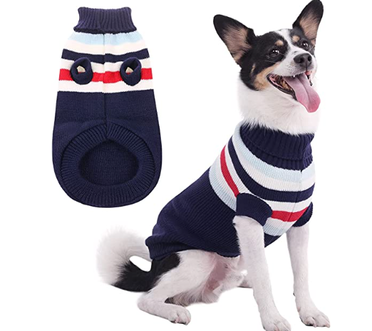 Christmas Look With A Nice Warm Sweater For Cute Dogs