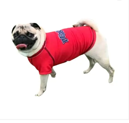 Cute Clothing For Your Christmas Dog