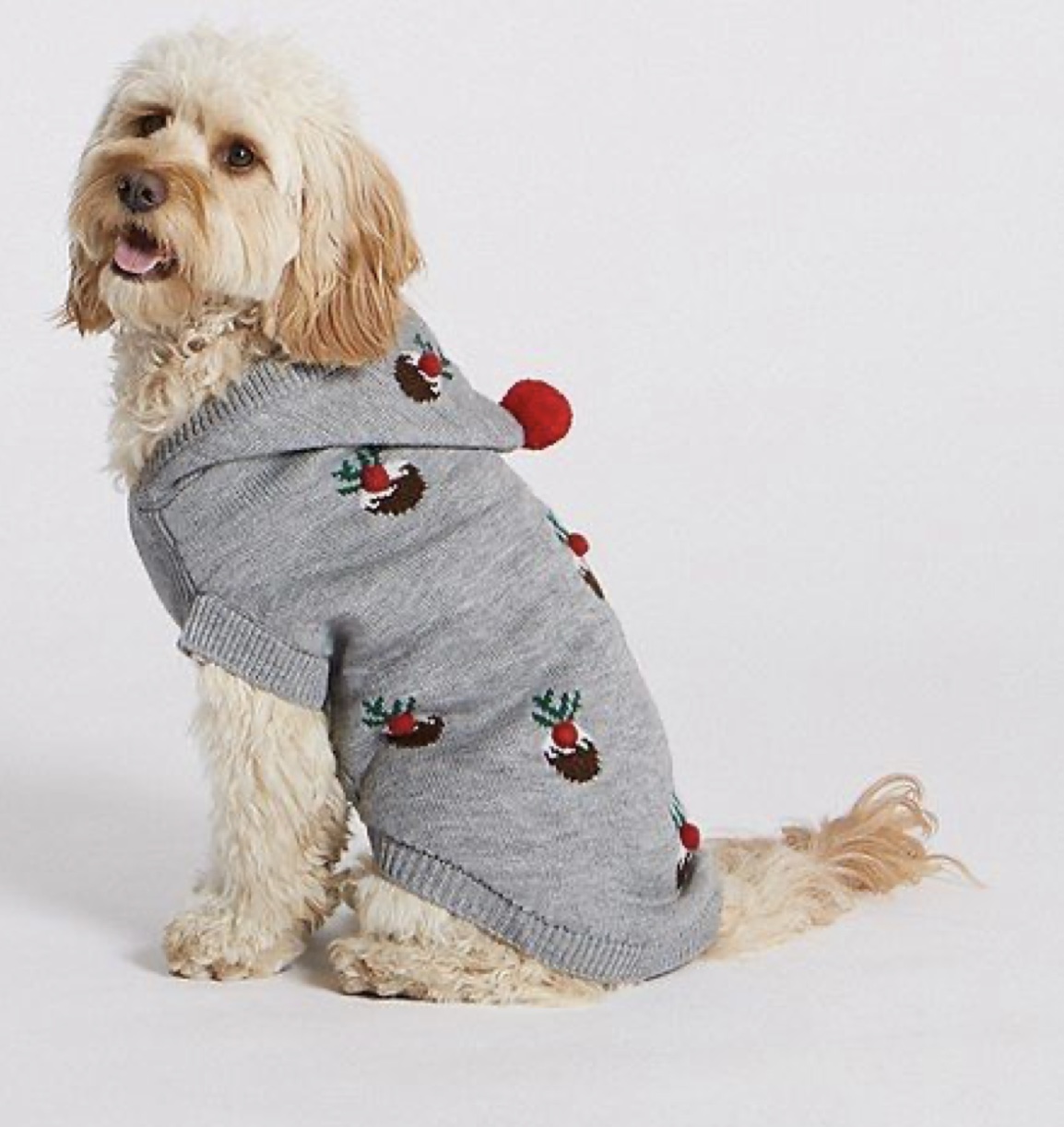 Dog Costumes For Christmas