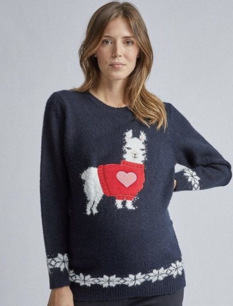 50 Best Maternity Christmas Jumpers of 2023 - Cute Pregnancy Jumpers