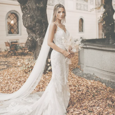 Bride's Dream Dress