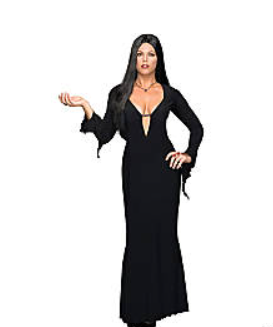 Plus Size Sexy Witch Costume